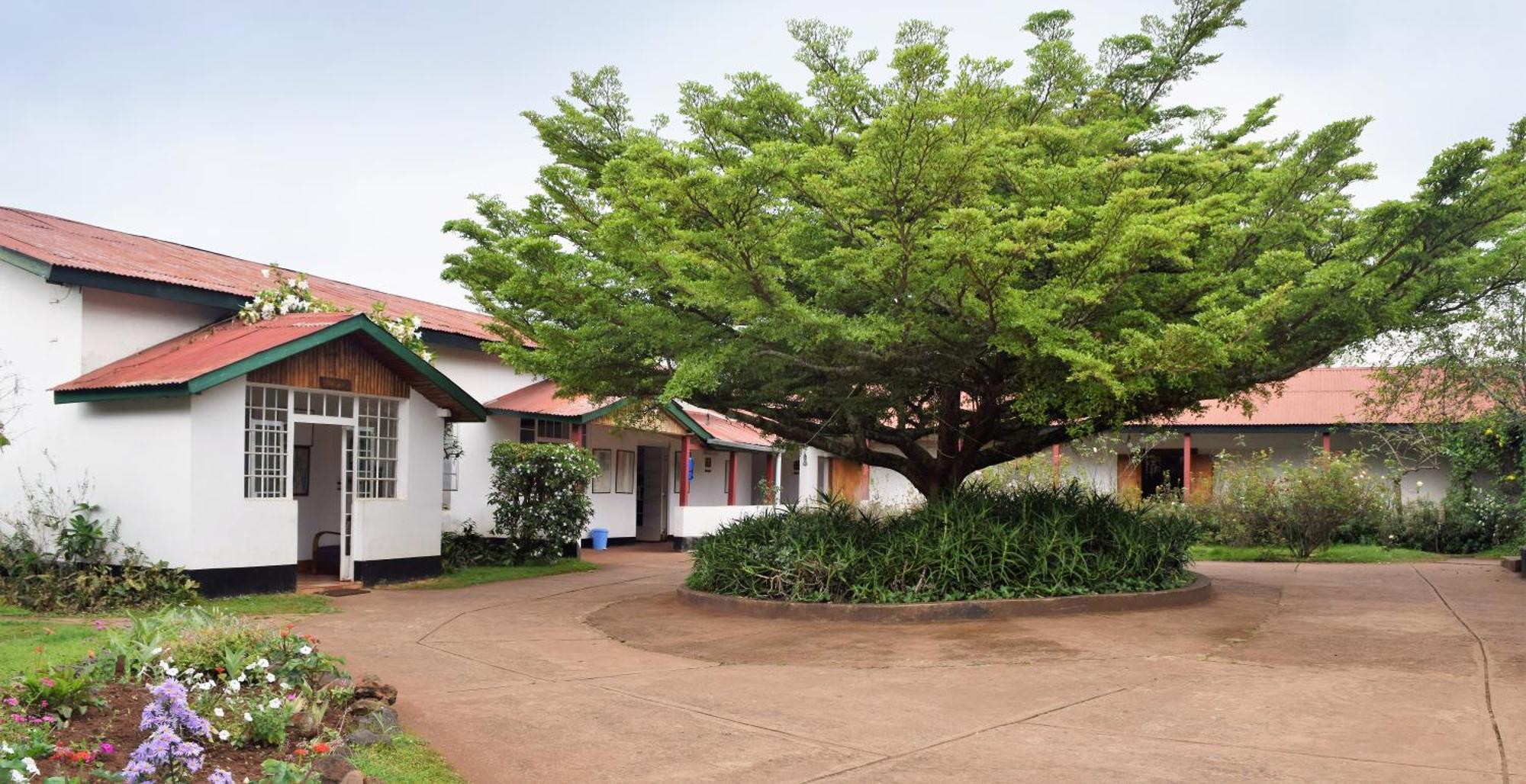 Marangu Hotel Luaran gambar